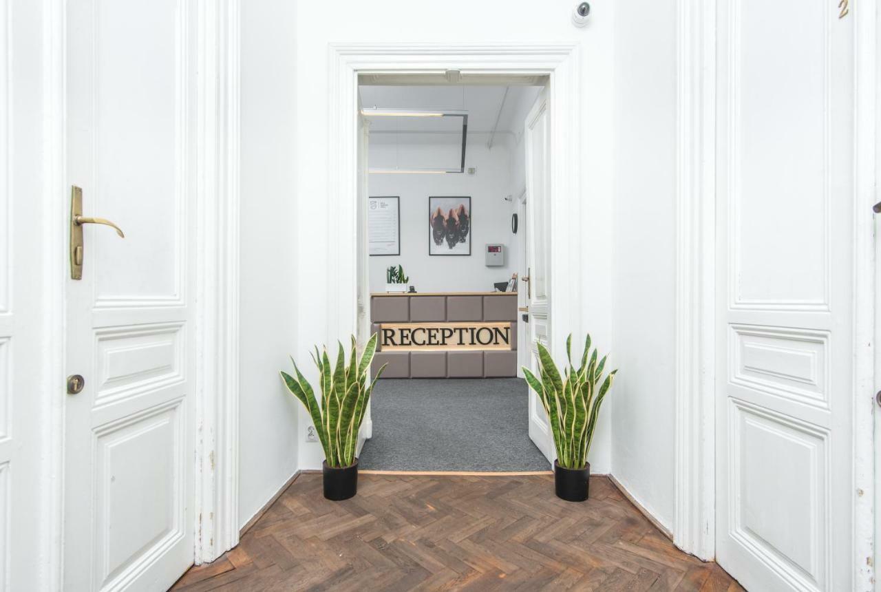 Bison Hostel Kraków Eksteriør billede